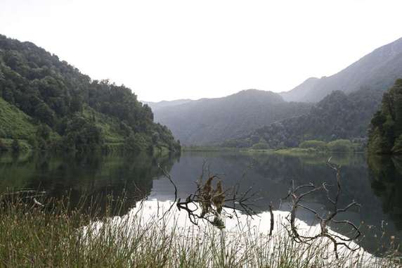 Image 4 of 4