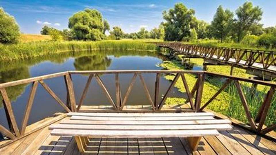 Lake Balaton, the authentic Sava and the majestic Danube (port-to-port cruise) - Croisieurope - Hungary - Image 7