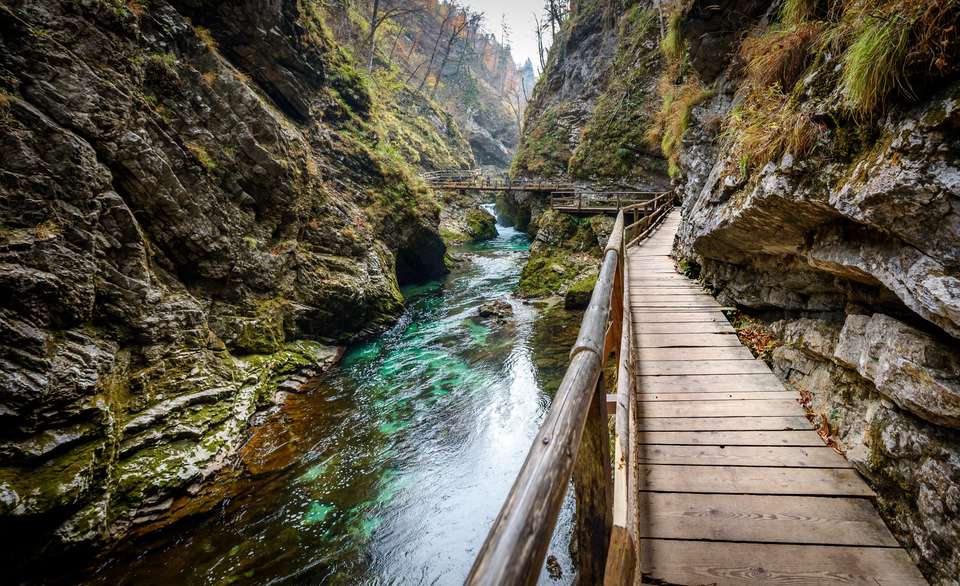 Lake Bled and Lake Bohinj Walk - Exodus Adventure Travels - Slovenia - Image 6