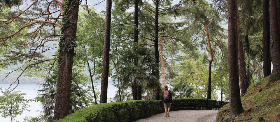 Lake Como Rambling - Walkers' Britain - Italy - Image 5