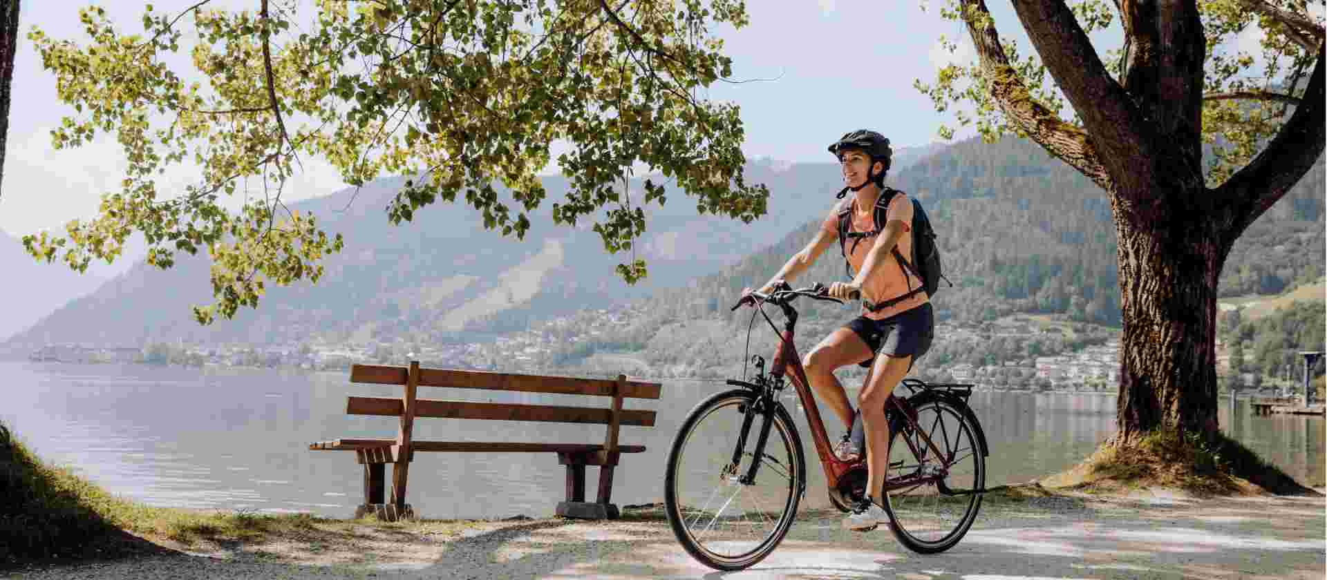Lake Constance Circuit by Bike
