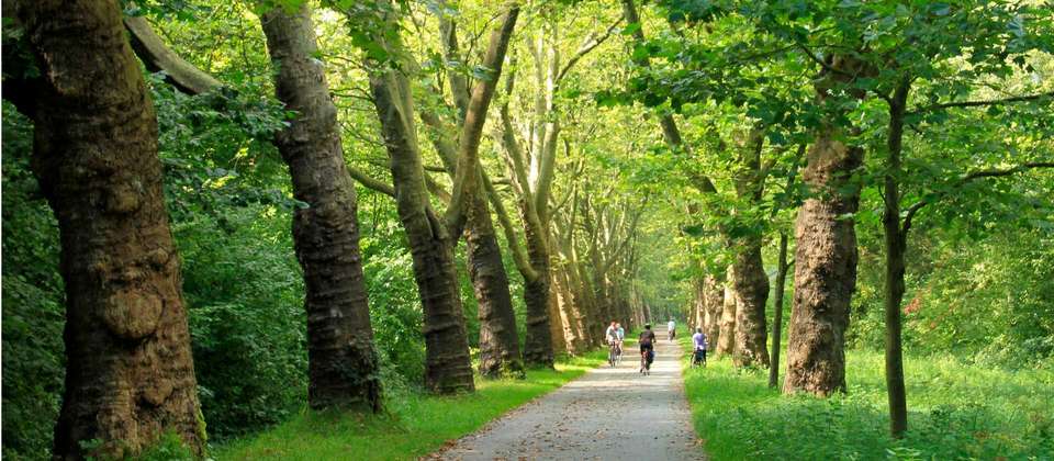 Lake Constance Circuit by Bike - Utracks - Germany - Image 3