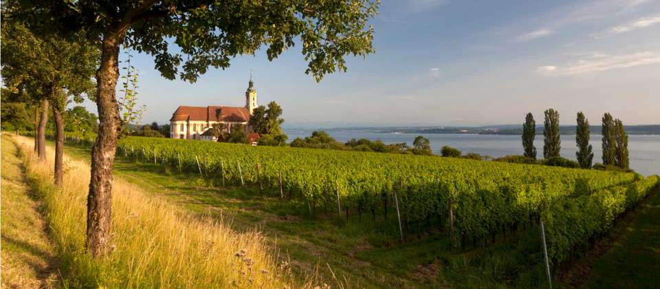 Lake Constance Circuit by Bike - Utracks - Germany - Image 4