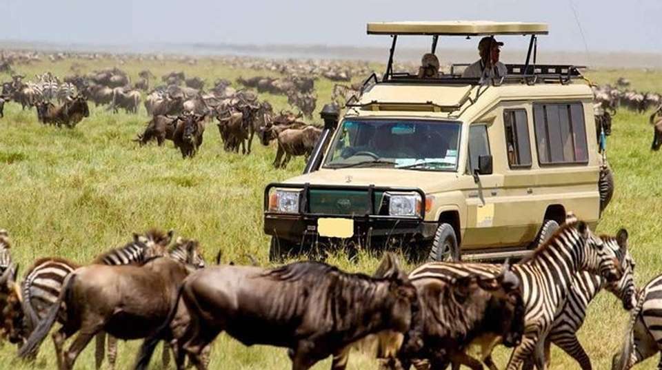 Lake Naivasha & Maasai Mara Luxury Safari: 4 Days - Gracepatt Ecotours Kenya - Kenya - Image 3
