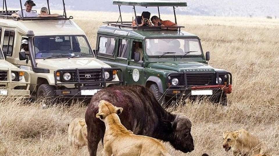 Lake Naivasha & Maasai Mara Luxury Safari: 4 Days - Gracepatt Ecotours Kenya - Kenya - Image 4