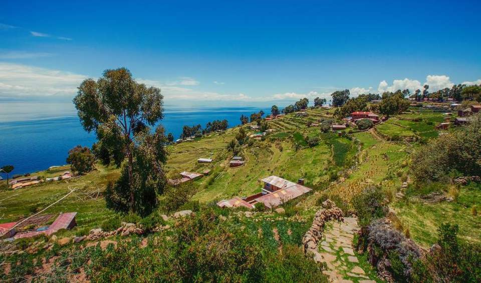 Lake Titicaca Day Tour - Bamba - Peru - Image 3