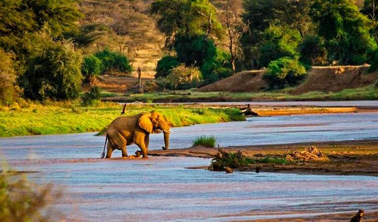 Kenya Tours for Young Adults: Lakes & Mountain Safari 10D/9N (Masai Mara, Lake Nakuru & Baringo, Samburu, Amboseli)