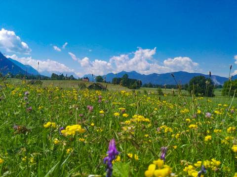 Lakes & Mountains Of Bavaria Cycling