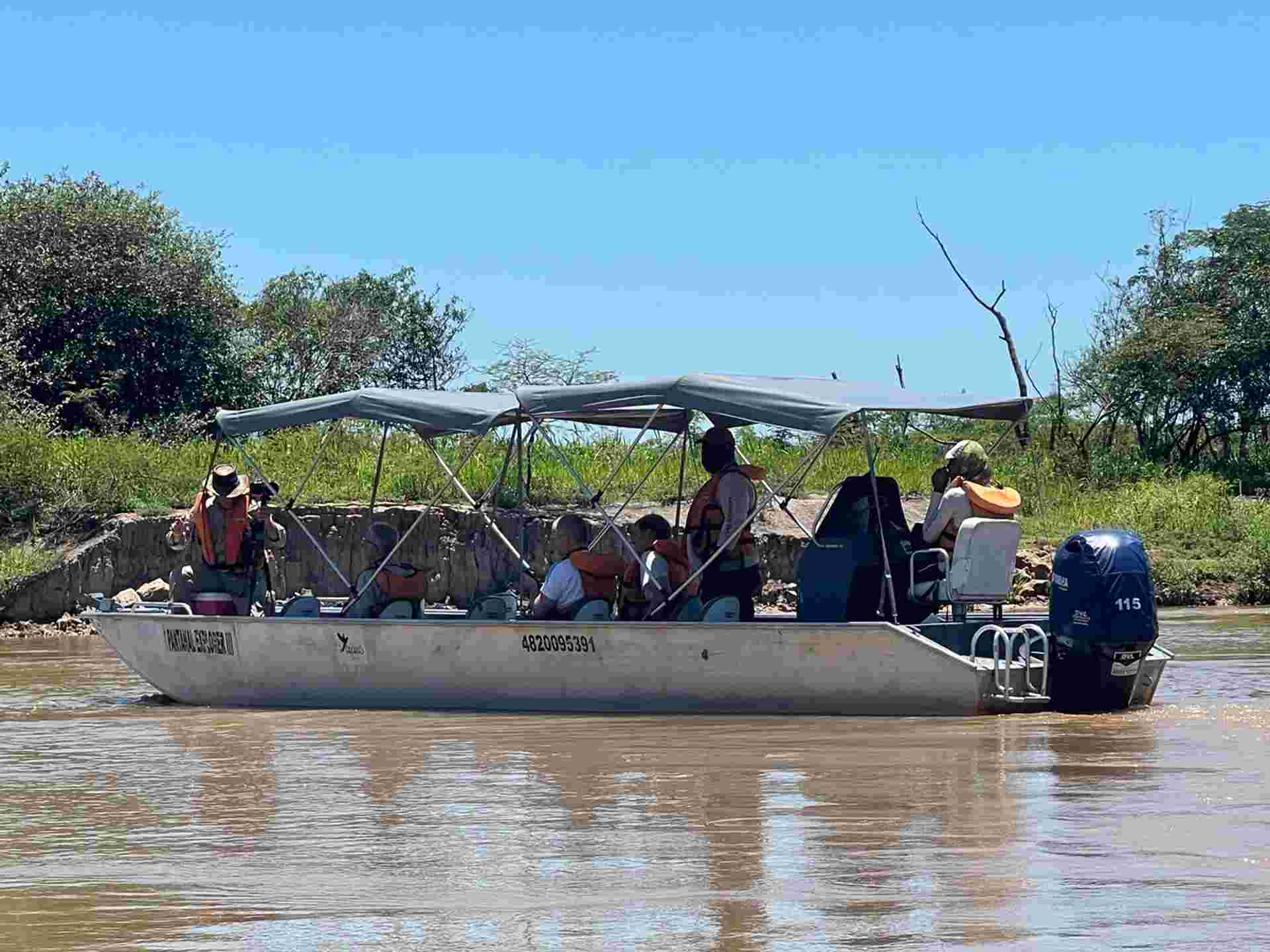 Pantanal - Land of the Jaguar
