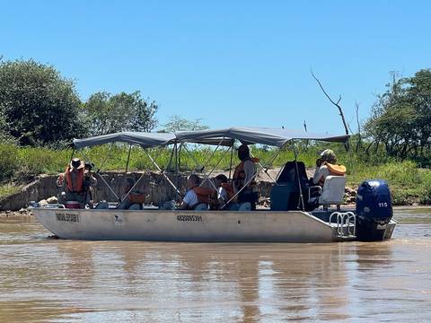 South America Wildlife Tour: Pantanal - Land Of The Jaguar