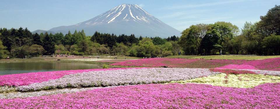 Land of the Samurai - 12 days - On The Go Tours - Japan - Image 4