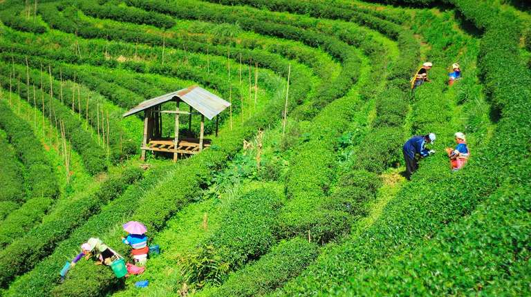 Asia Private Tours: Thailand & Vietnam the Perfect Pair 16 days Private tour