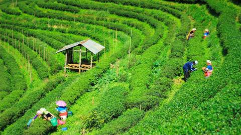 Hanoi Natural Landmarks Sightseeing Tour: Thailand & Vietnam The Perfect Pair 16 Days Private Tour