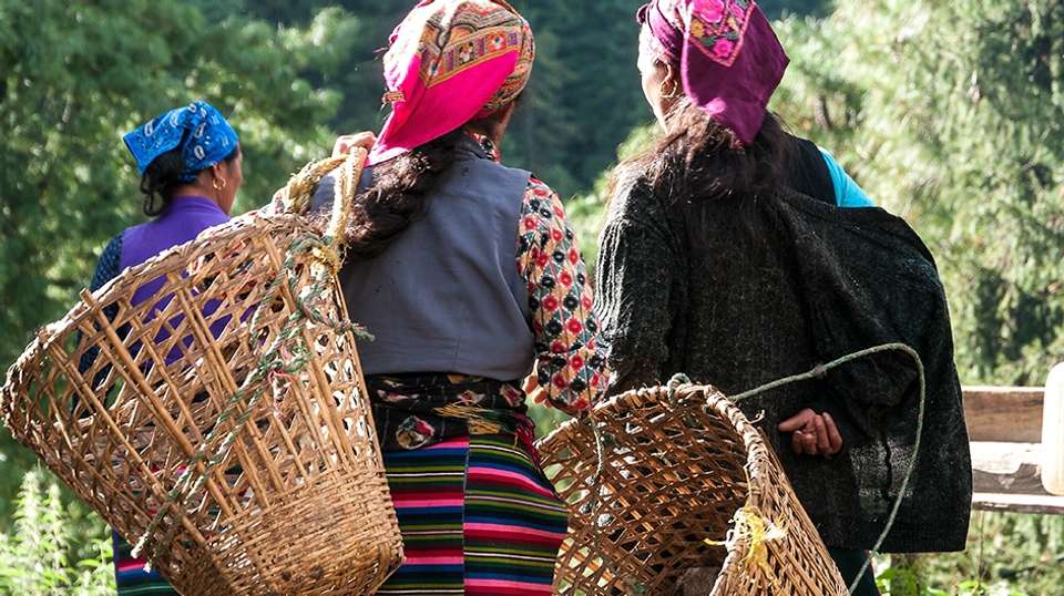 Langtang Valley Trek - Travel Max Guide - Nepal - Image 4