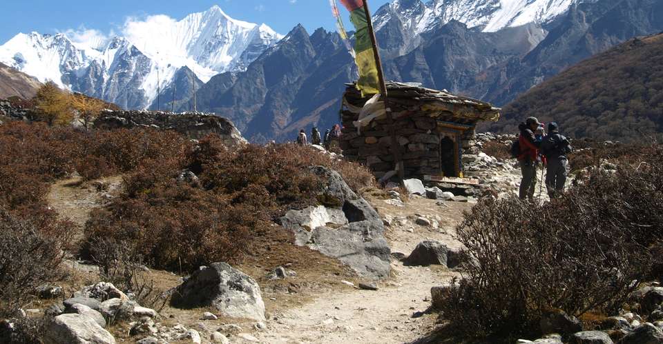  Langtang Tamang Heritage Trail Trekking  - Nepal Lion Tours And Treks Pvt Ltd - Nepal - Image 2