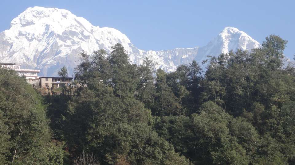 Langtang Trek - Outshine Adventure Pvt Ltd - Nepal - Image 4