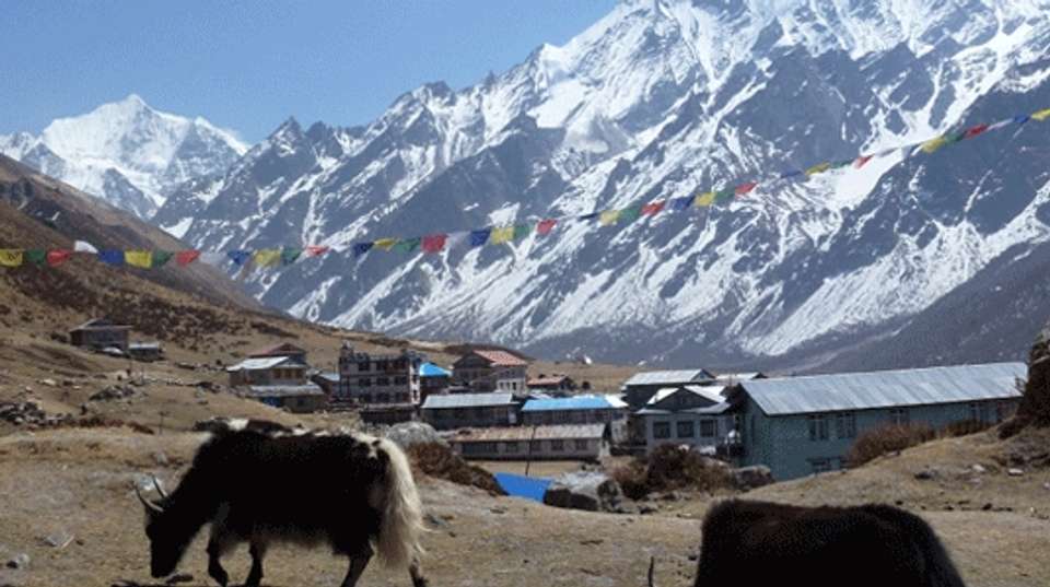 Langtang Trek - Outshine Adventure Pvt Ltd - Nepal - Image 5
