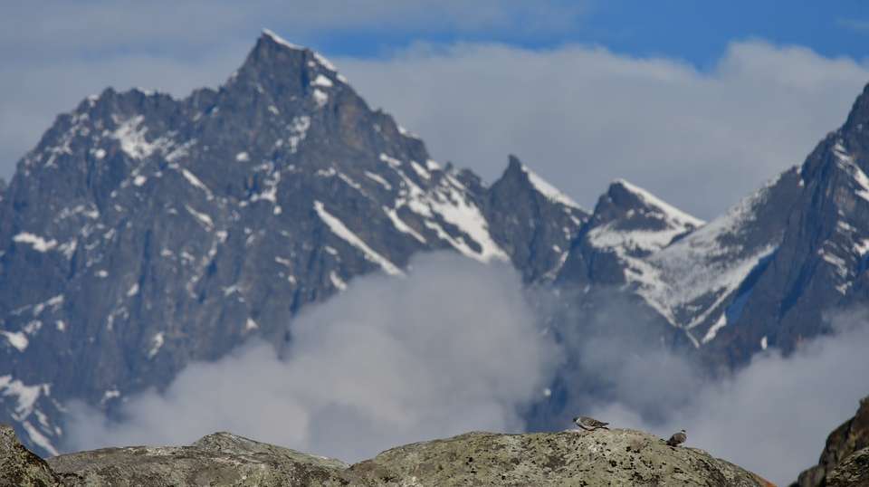 Langtang Trek with Chopper Return - Unique Adventure International Pvt Ltd - Nepal - Image 8