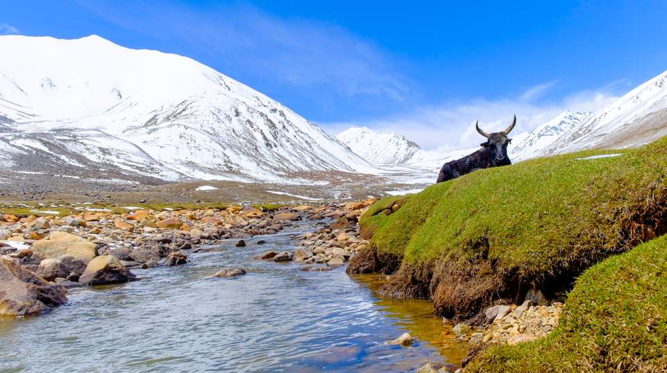 Langtang Valley & Tamang Heritage Trek - Asian Heritage Treks & Travels - Nepal - Image 4