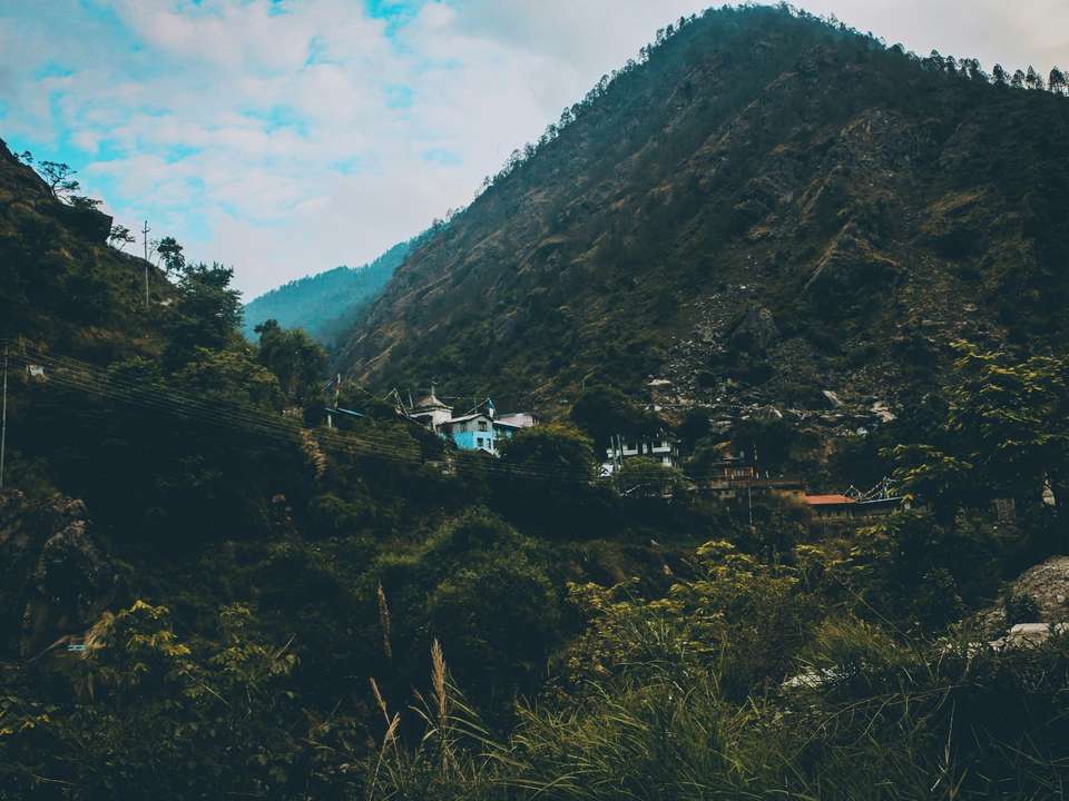 Langtang Valley Trek - 12 days - undefined - Image 5