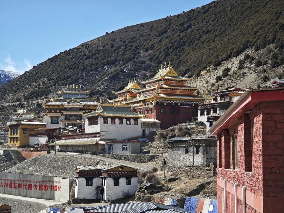 Langtang Valley Trek - 12 days - undefined - Image 6