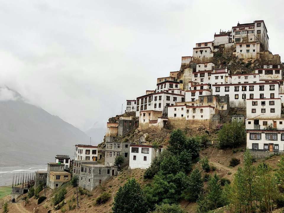 Langtang Valley Trek - 12 days - undefined - Image 7