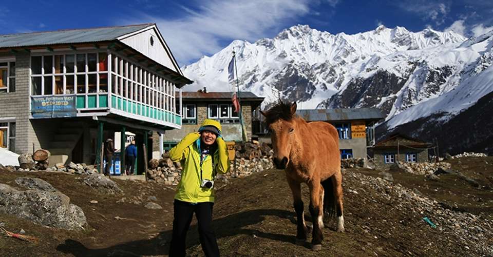 Langtang Valley Trek - Icicles Adventure Treks And Tours Pvt Ltd - Nepal - Image 4