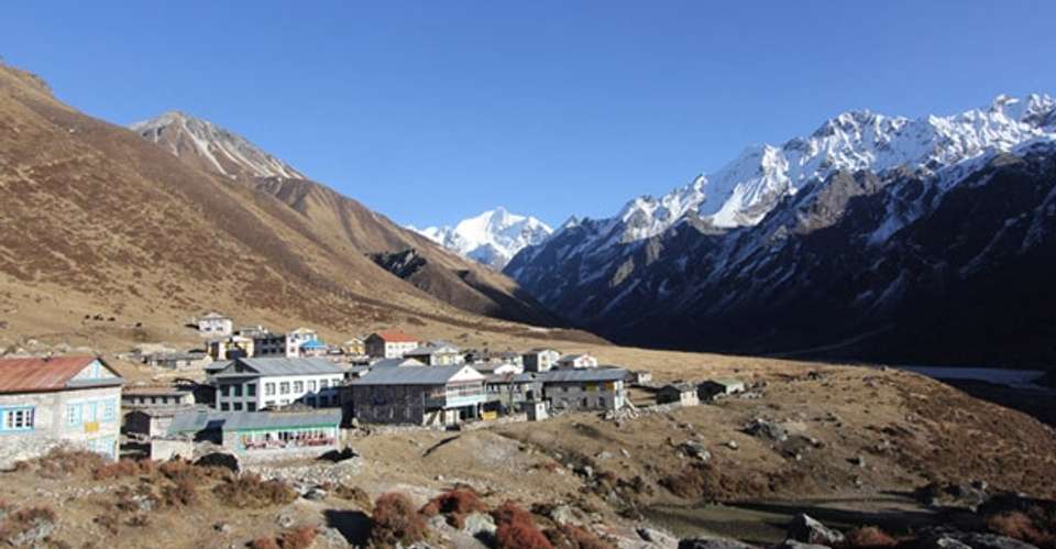 Langtang Valley trek - Ace The Himalaya - Nepal - Image 2
