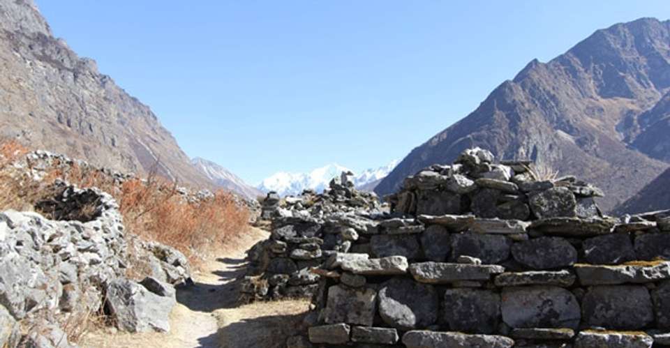 Langtang Valley trek - Ace The Himalaya - Nepal - Image 4