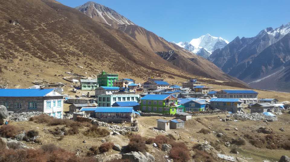 Langtang Valley Trek - Nepal Lion Tours And Treks Pvt Ltd - Nepal - Image 4
