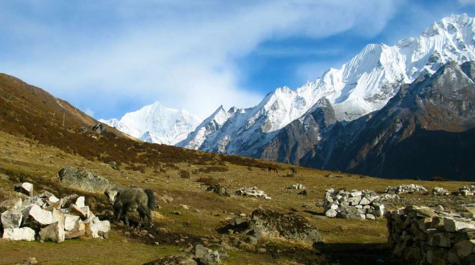 Langtang Valley Trek - Sherpa Expedition And Trekking Pvt. Ltd - Nepal - Image 4