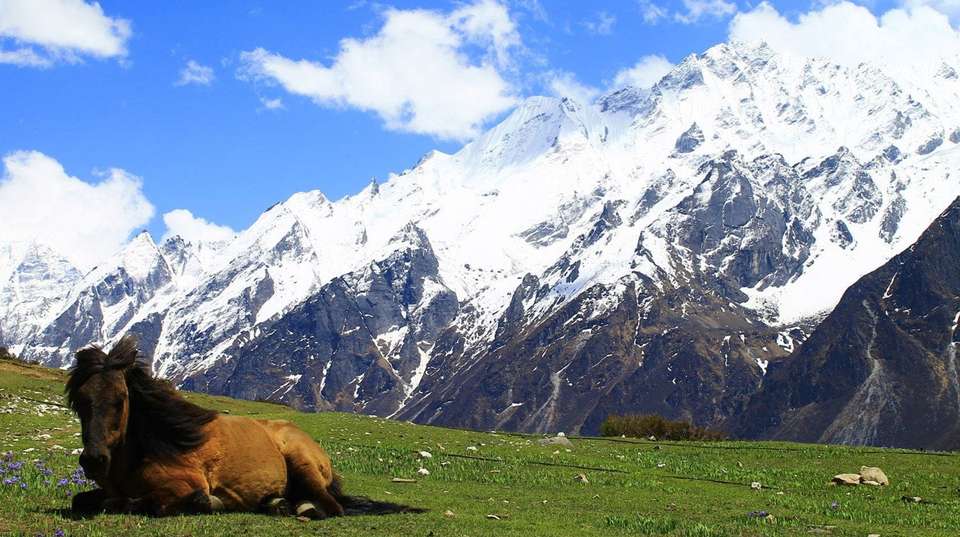 Langtang Valley Trek - Breakfree Adventures Pvt Ltd - Nepal - Image 4