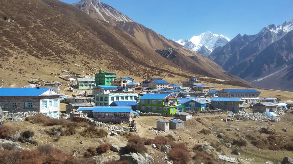 Langtang Valley View Trekking - Nepal Lion Tours And Treks Pvt Ltd - Nepal - Image 3