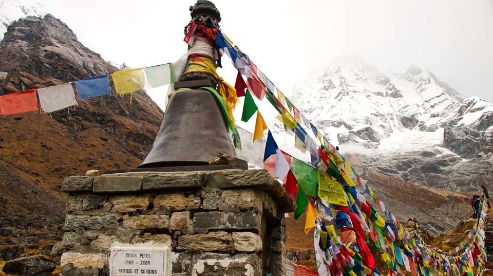 Langtang Valley View Treks 8-Days - Nepal Lion Tours And Treks Pvt Ltd - Nepal - Image 9