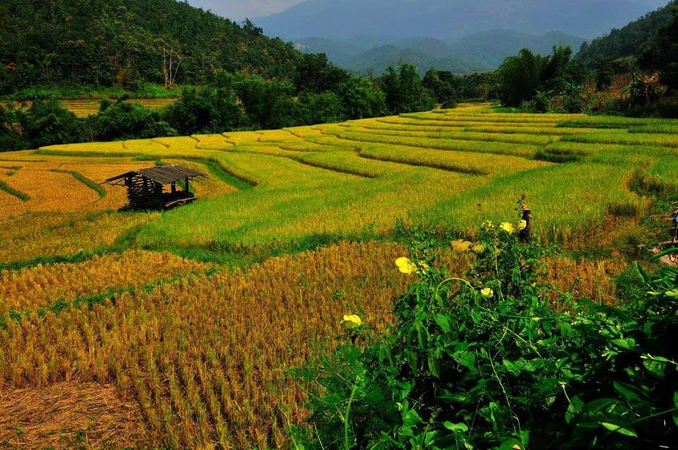Lanzhou City Break, Private Tour - Destination Services - China - Image 6