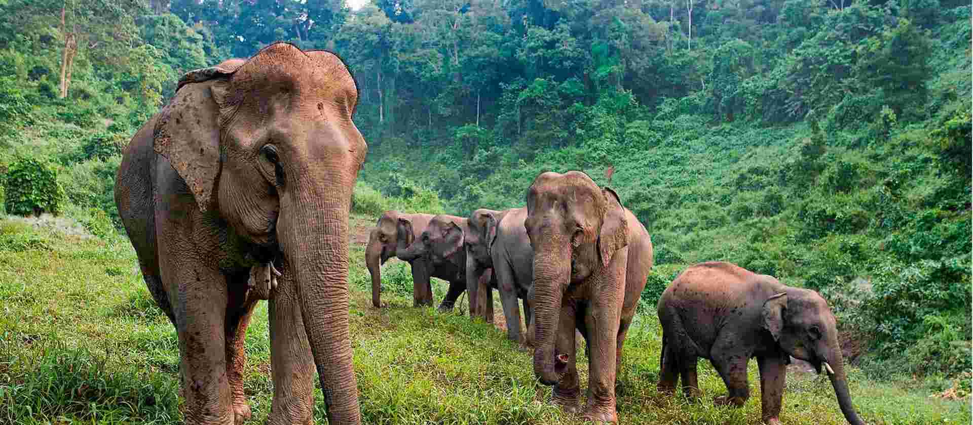 Laos & Cambodia Family Adventure
