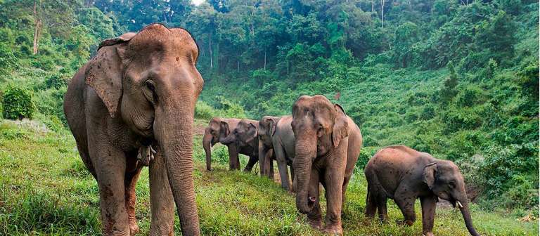 Laos & Cambodia Family Adventure trip - alternative tour available