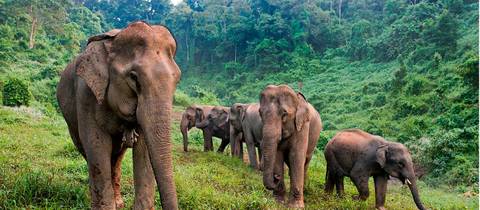 Laos & Cambodia Family Adventure