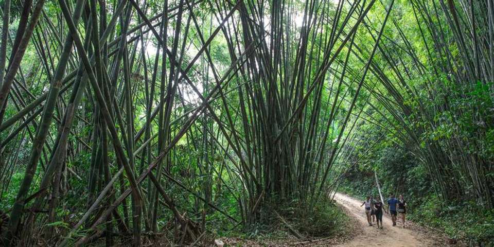 Laos to Northern Thailand: Treks & Trails - G Adventures - Laos - Image 16
