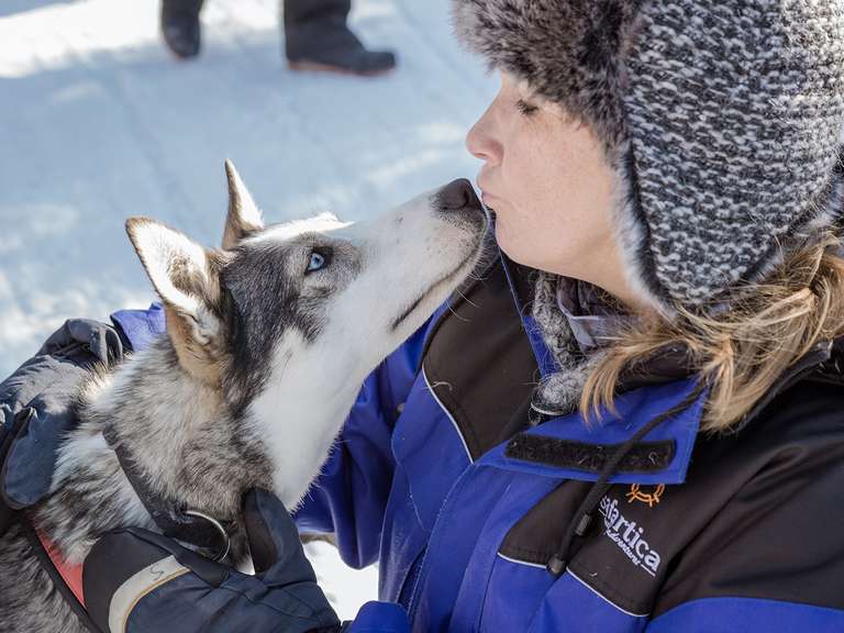Lapland & Husky Highlights - 5 Days trip - alternative tour available