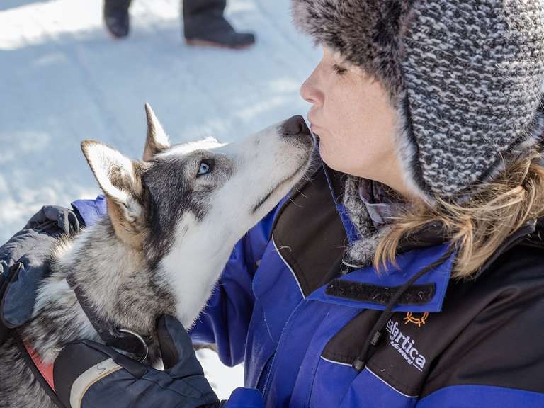 Lapland & Husky Highlights - 5 Days - 5 days