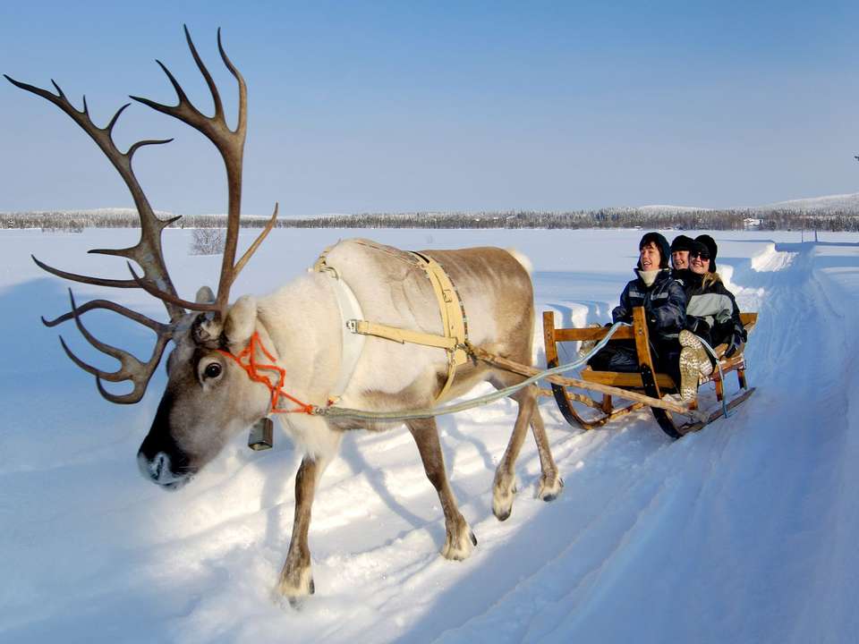 Lapland & the Arctic Circle - 5 Days - On The Go Tours - Finland - Image 4