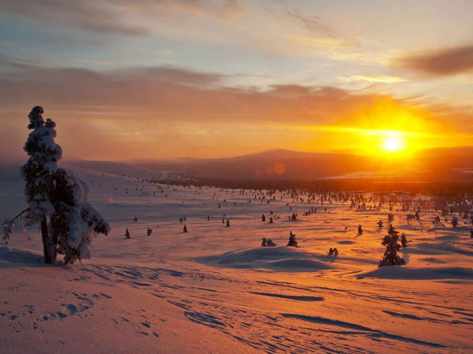 Lapland & the Arctic Circle - 5 Days - On The Go Tours - Finland - Image 5