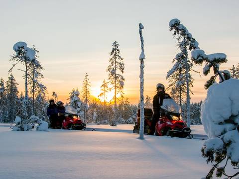 Finland Group Tours: Lapland Winter Adventure - 5 Days