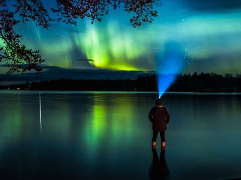 Rovaniemi Winter Adventure - 5 Days - Fall Tours