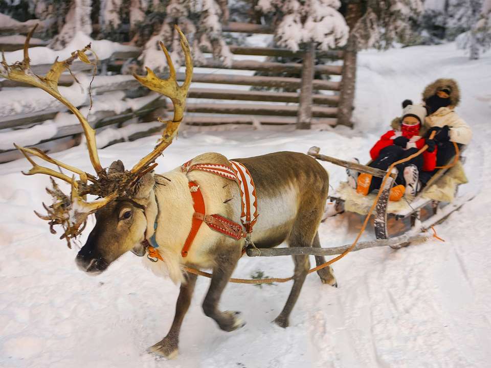 Lapland Winter Getaway - 4 days - On The Go Tours - Finland - Image 4