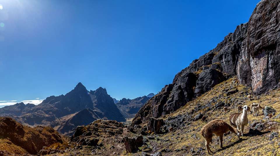 Lares Trek and Machu Picchu Tour - Apu Andino - Peru - Image 3