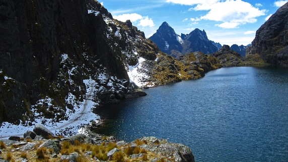 Image 4 of 8