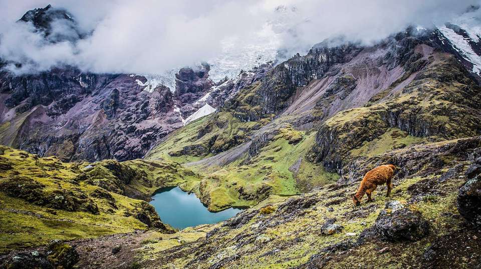 Lares Trek and Machu Picchu Tour - Apu Andino - Peru - Image 5
