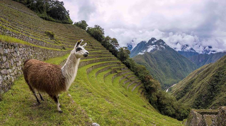Lares Trek & One Day Inca Trail 5 Days - Andean Path Travel - Peru - Image 4